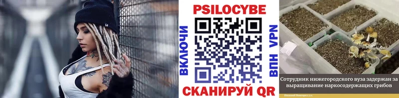 Псилоцибиновые грибы прущие грибы  Купить закладки  Усинск 